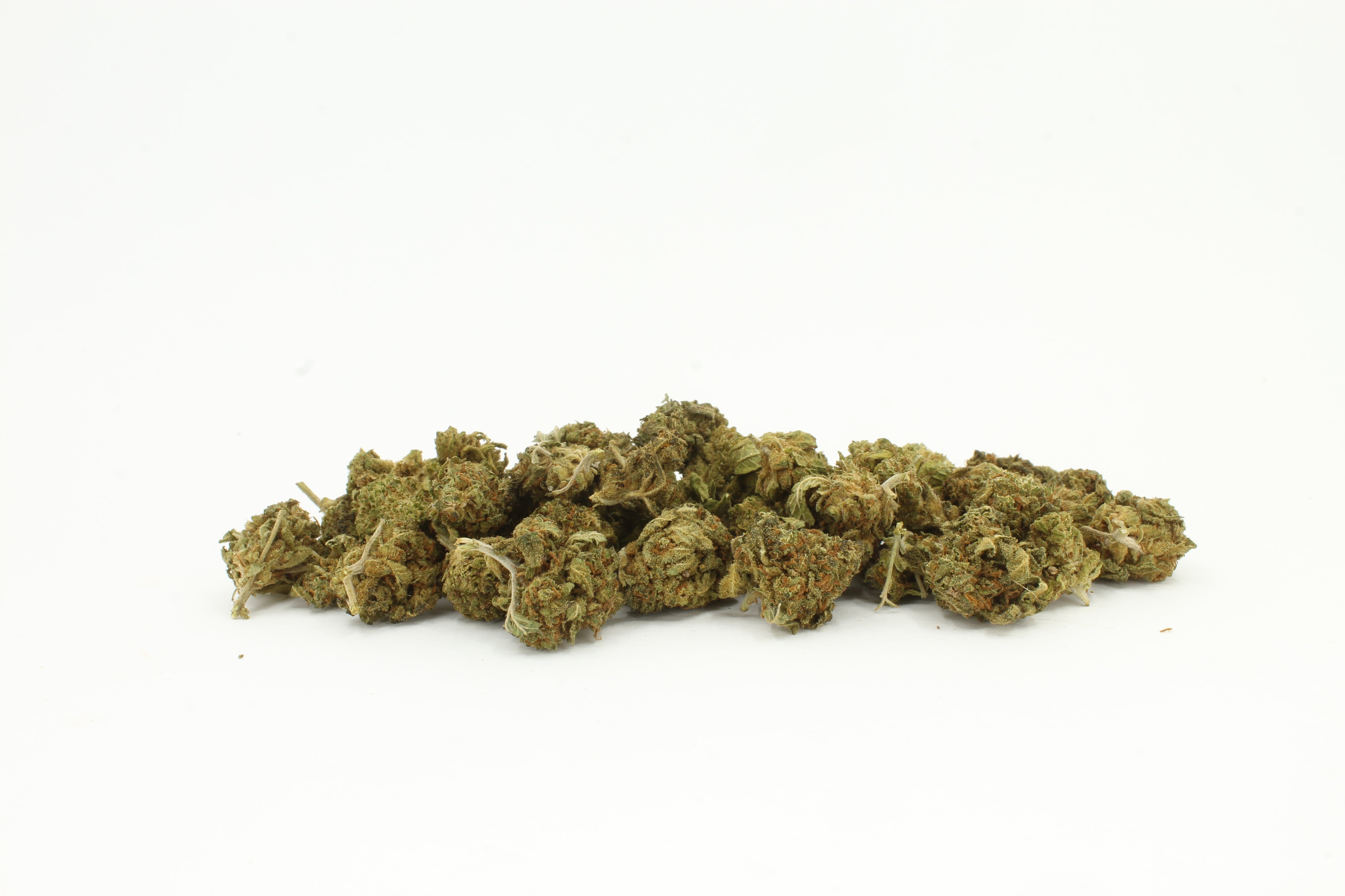 PETIT PANIER - G13 𝟭𝟯%